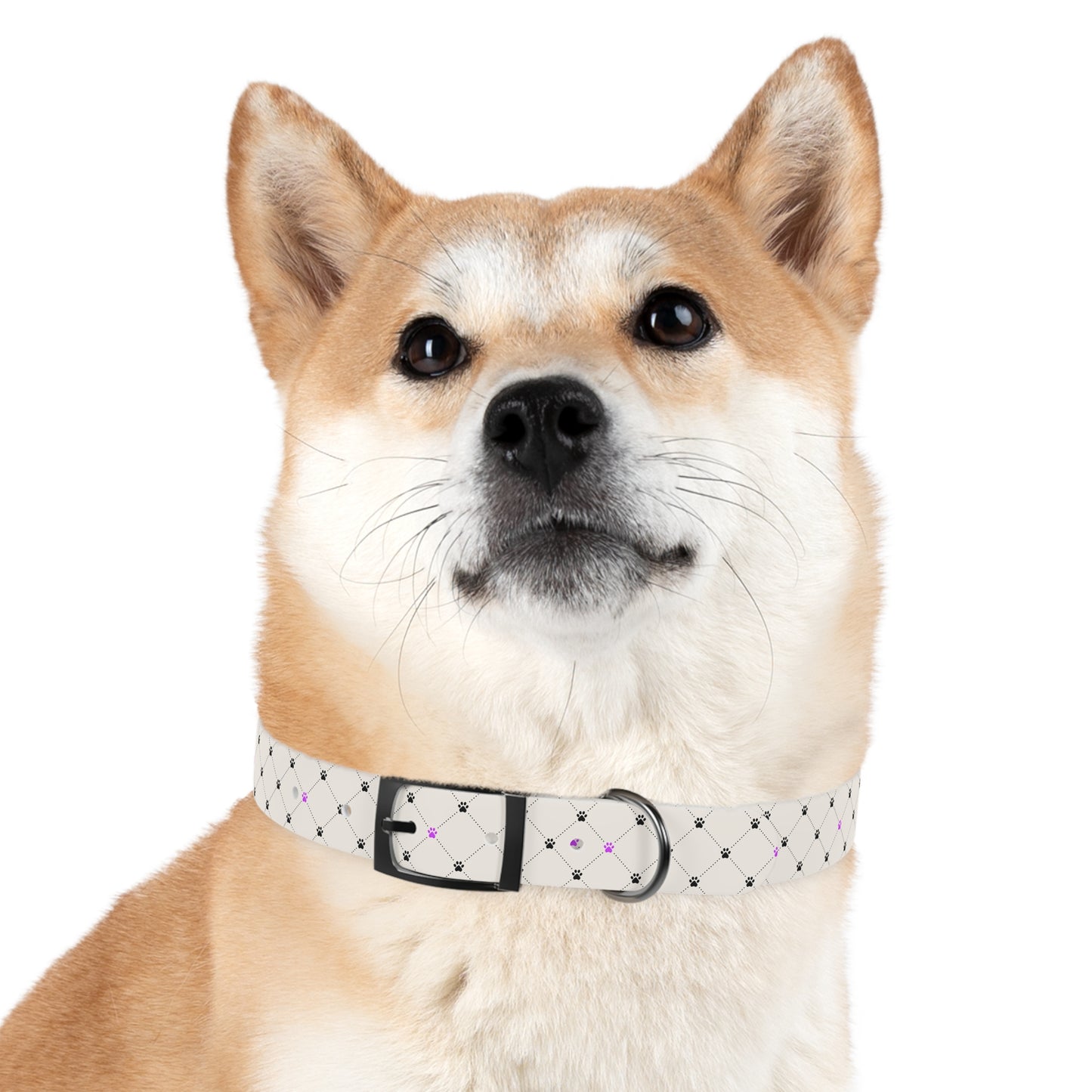 Odor and Stain-Resistant Pink & Paw Dog Collar