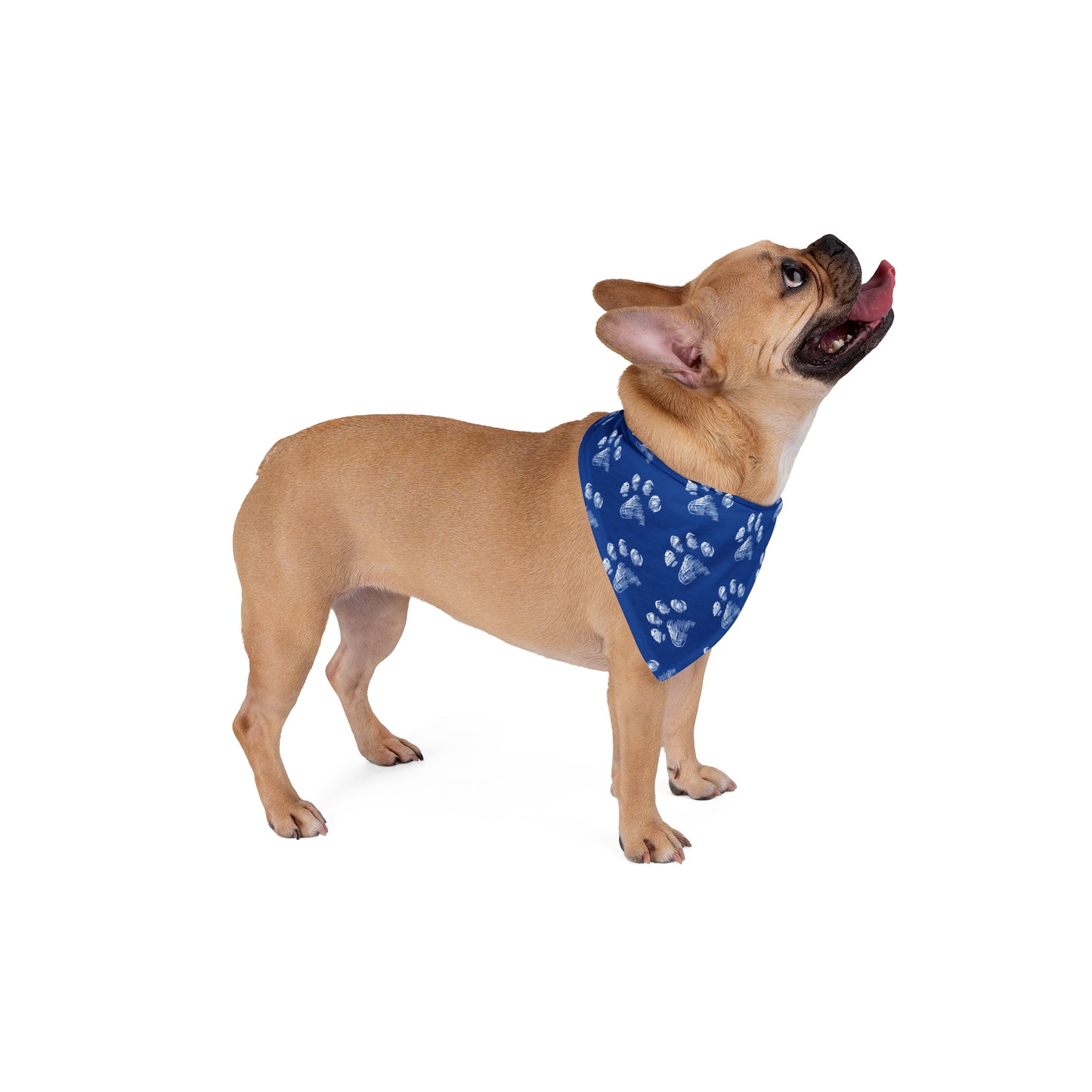 Blue Paw Print Pet Bandana