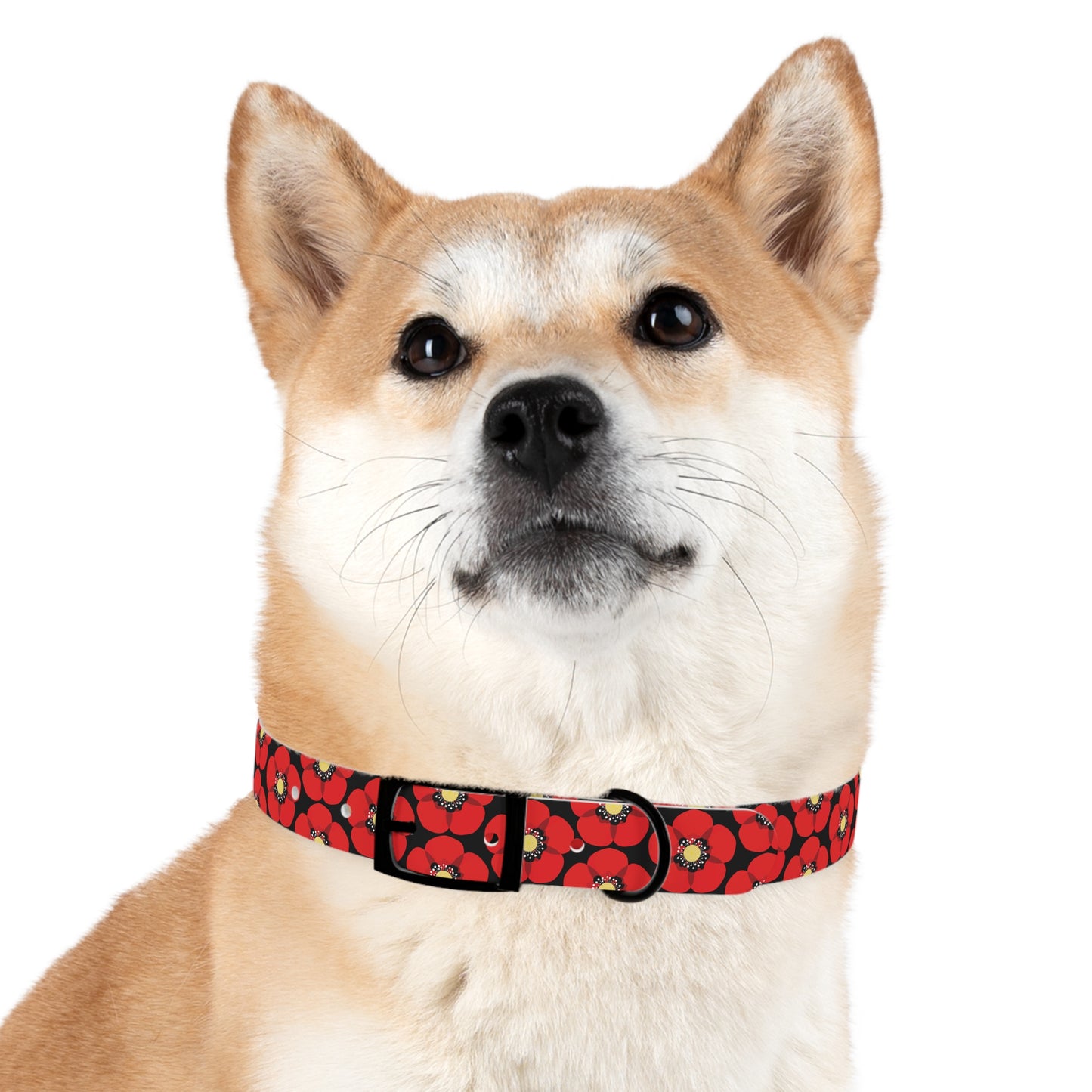 Odor and Stain-Resistant Poppy Dog Collar