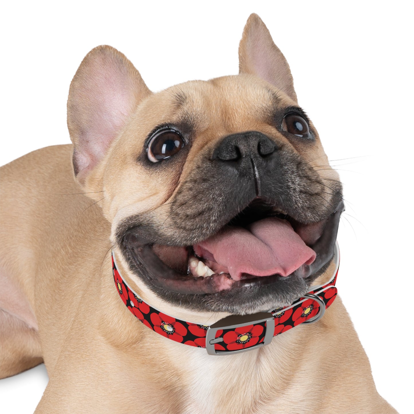 Odor and Stain-Resistant Poppy Dog Collar