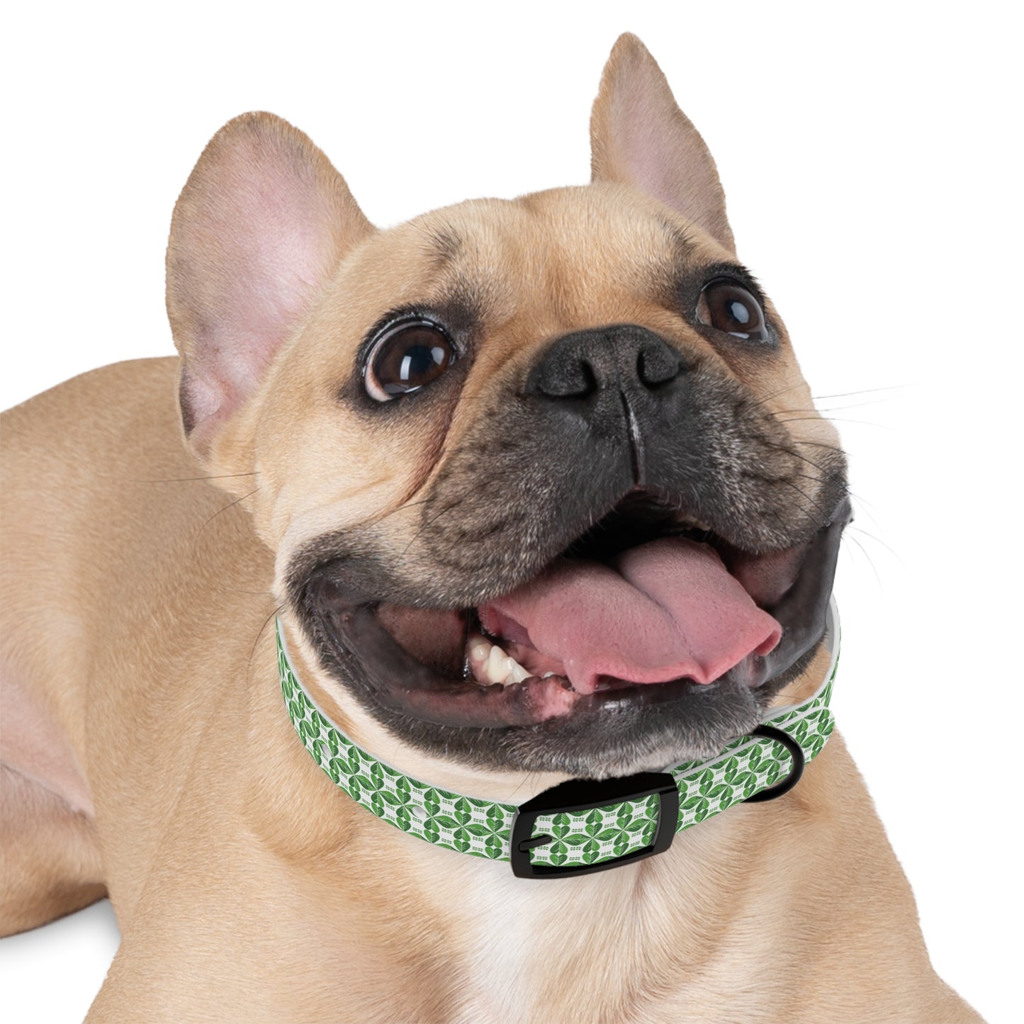 Odor and Stain Resistant Hearts of Clover Dog Collar