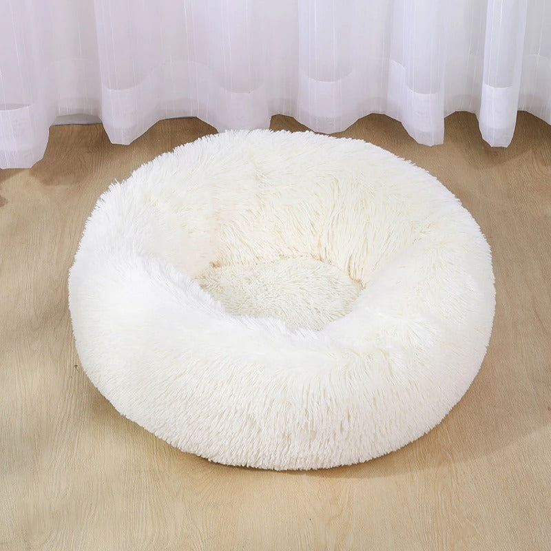 Super Soft Ring Rimmed Dog Bed